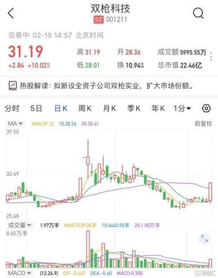 雙槍科技擬新設全資子公司雙槍實業，股價強勢漲停